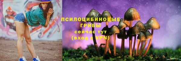 ALPHA PVP Армянск