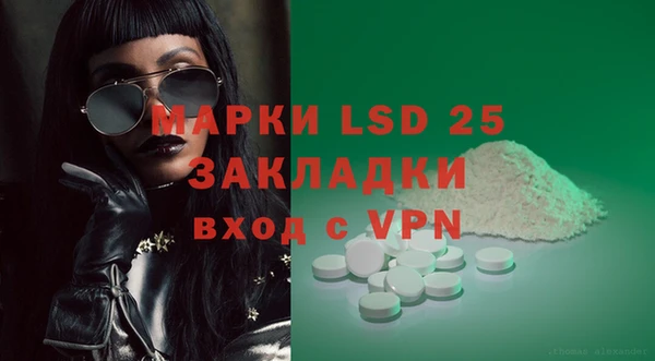 хмурый Алзамай