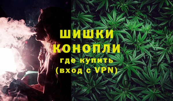 ГАЛЛЮЦИНОГЕННЫЕ ГРИБЫ Алексин