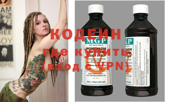 хмурый Алзамай