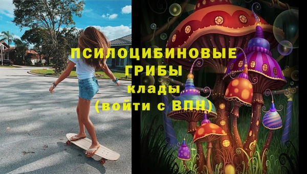 ГАЛЛЮЦИНОГЕННЫЕ ГРИБЫ Алексин