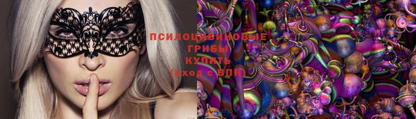 ГАЛЛЮЦИНОГЕННЫЕ ГРИБЫ Алексин