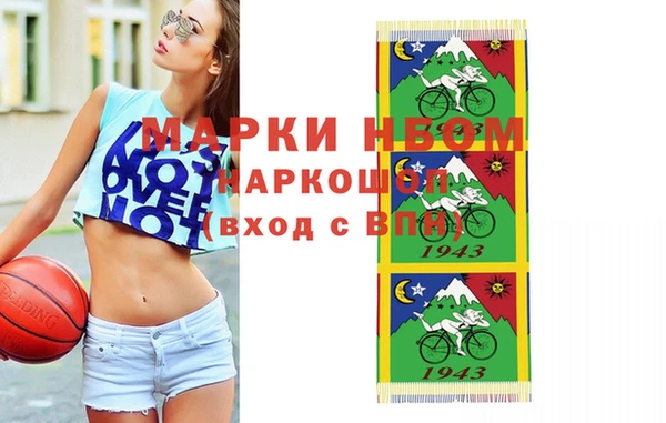 хмурый Алзамай