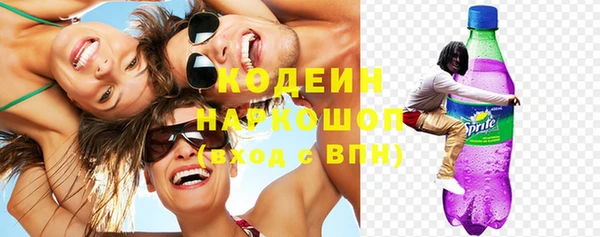 хмурый Алзамай